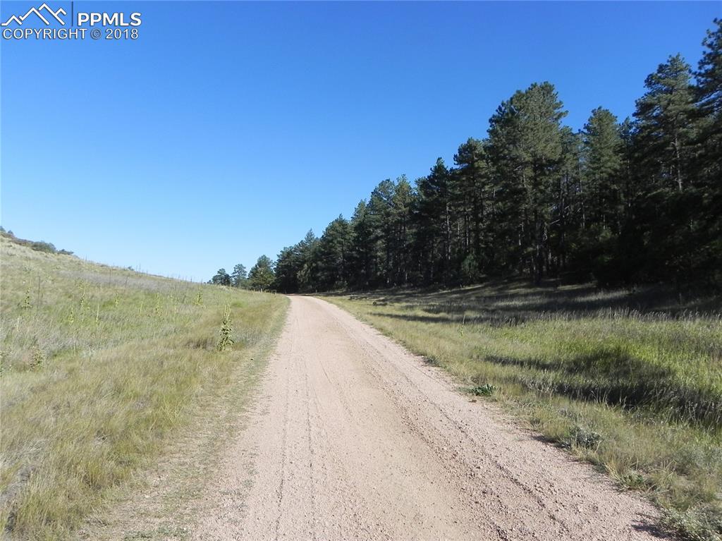 4596 Comanche Drive - Photo 1
