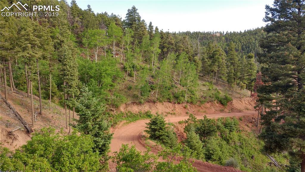 13294 Firedog Way - Photo 1