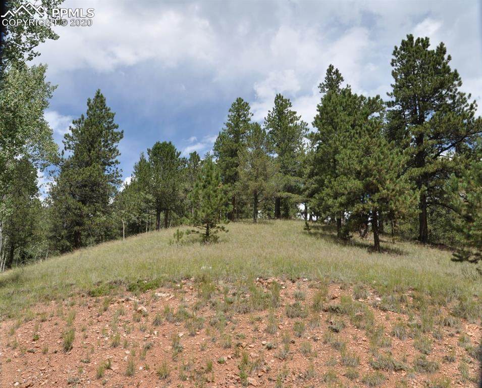 54 Eagle Drive - Photo 1