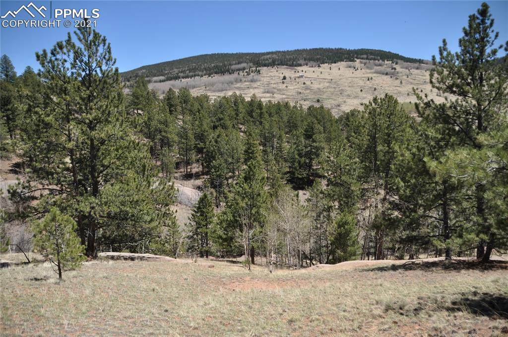 56 Red Cloud Circle - Photo 1