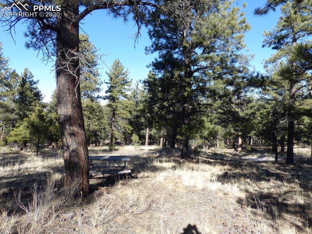 551 Wyandot Trail - Photo 1