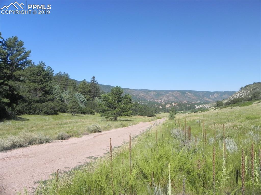 4742 Comanche Drive - Photo 1
