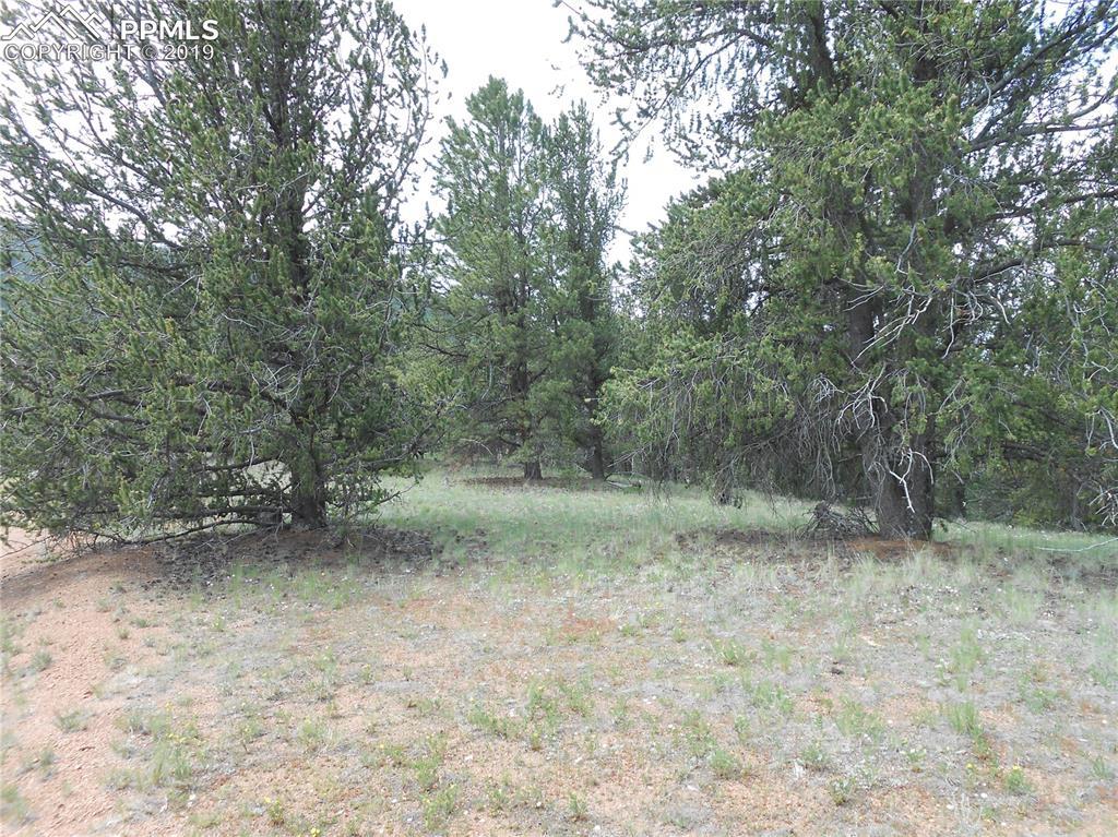 2572 Yorktown Road - Photo 1
