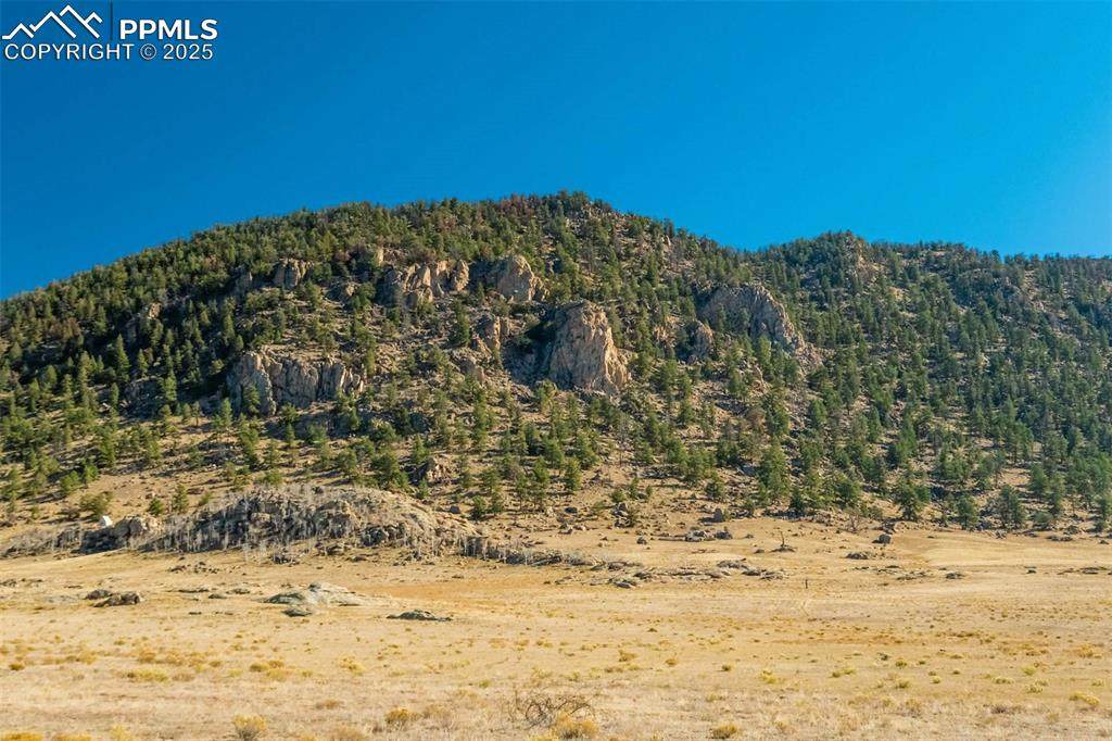 1354 Puma Hills Road - Photo 1