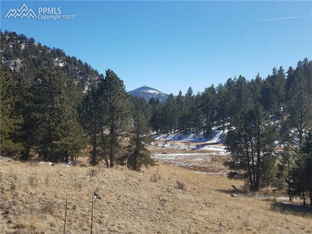 2613 Highland Meadows Drive - Photo 1