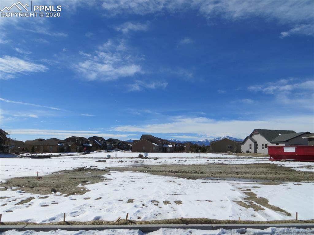 9522 Dewitt Drive - Photo 1