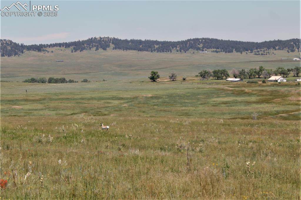 Tract 23 Sweet Road - Photo 1