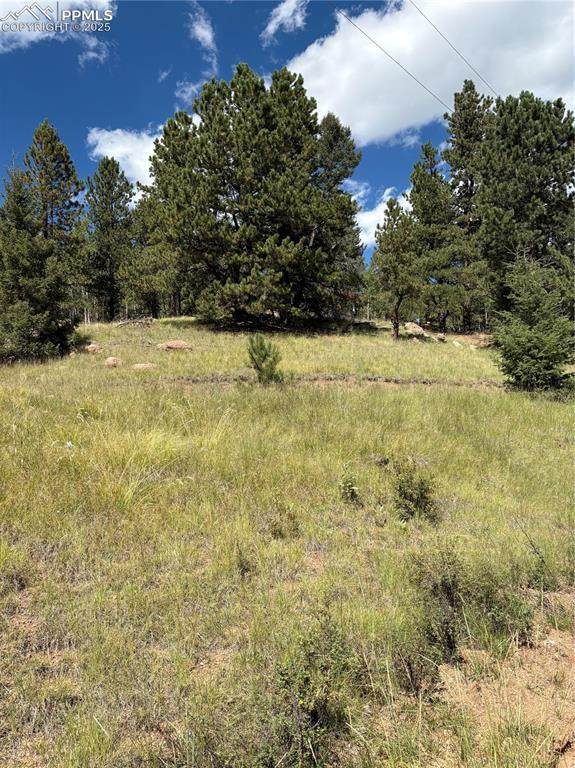 3190 Mountain Estates Road - Photo 1