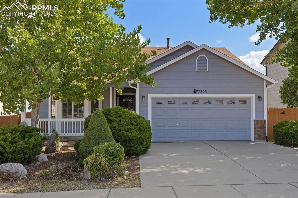 7203 Dove Valley Place - Photo 1