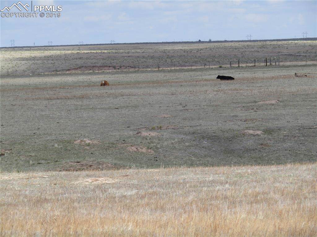 9860 Berridge Road - Photo 1