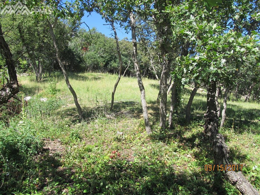 5940 Gladstone Street - Photo 1
