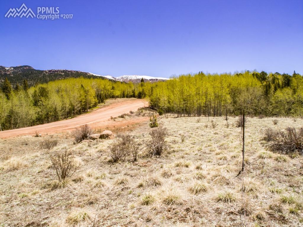 2975 County 61 Road - Photo 1