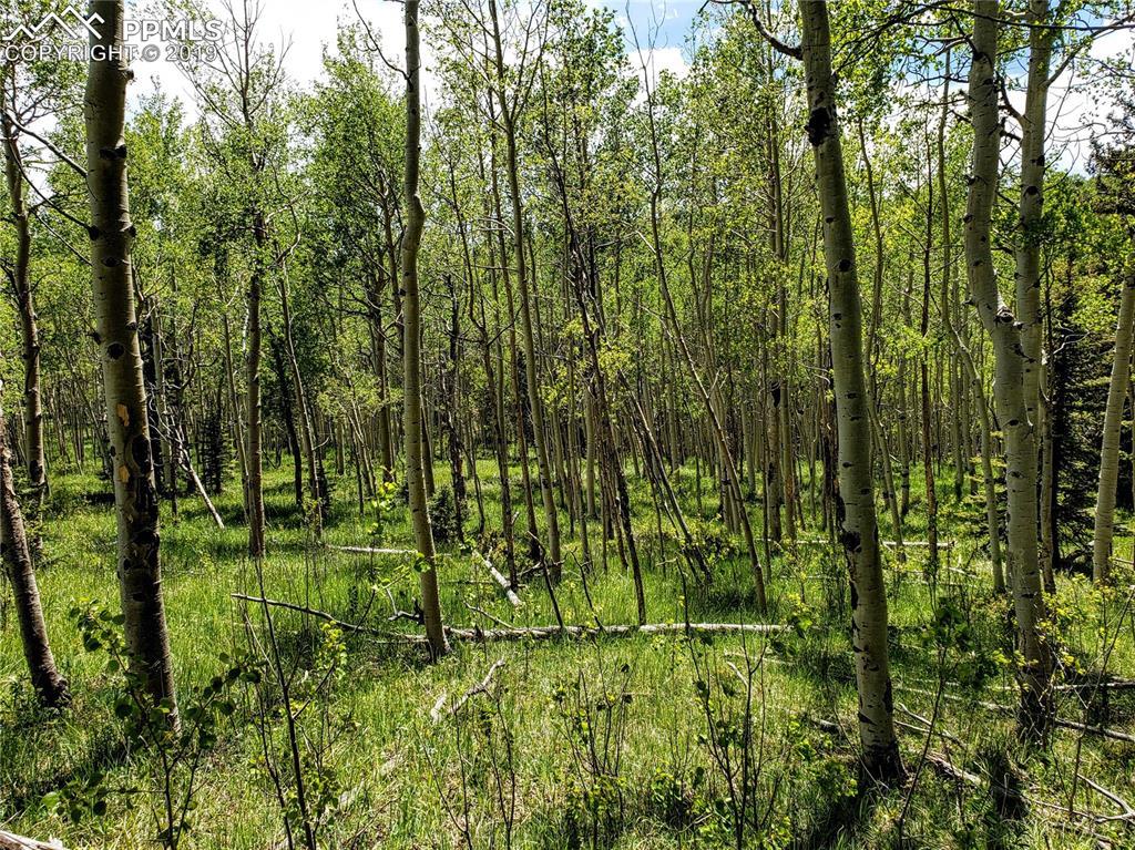 1389 County 863 Road - Photo 1