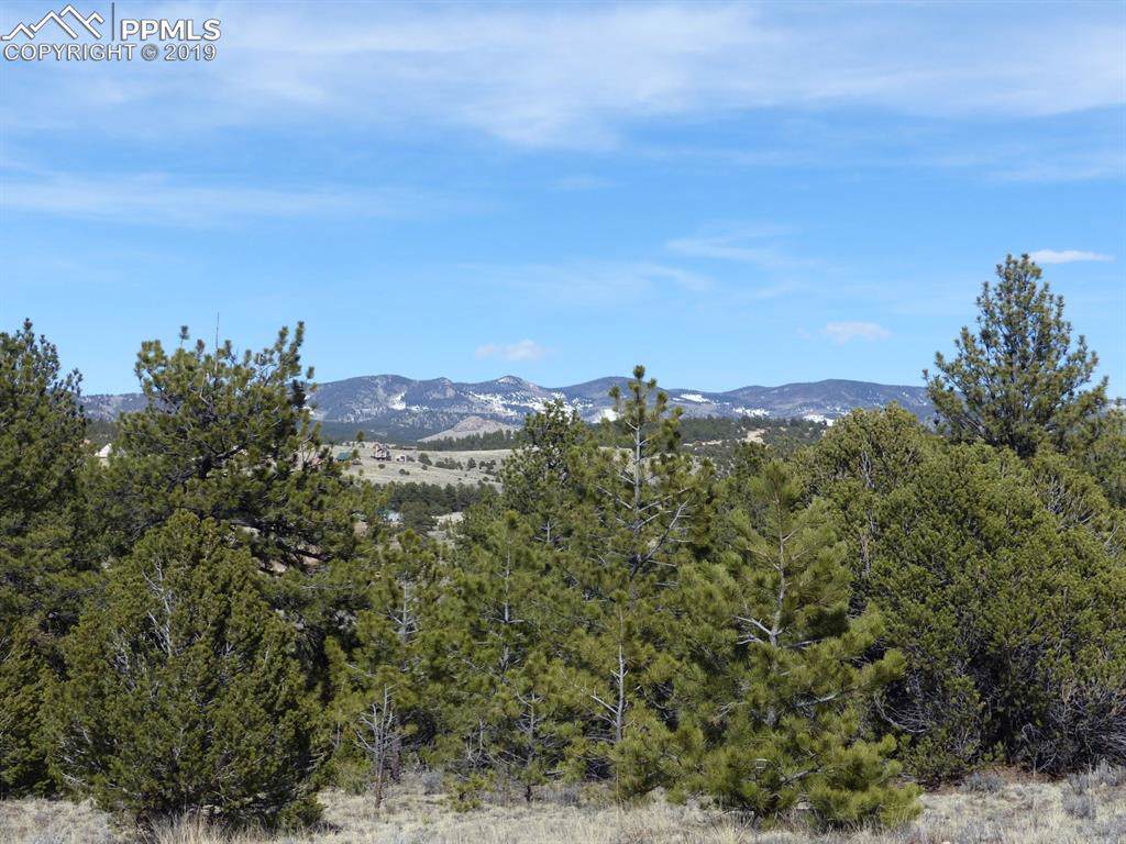 3654 Wykagyl Road - Photo 1