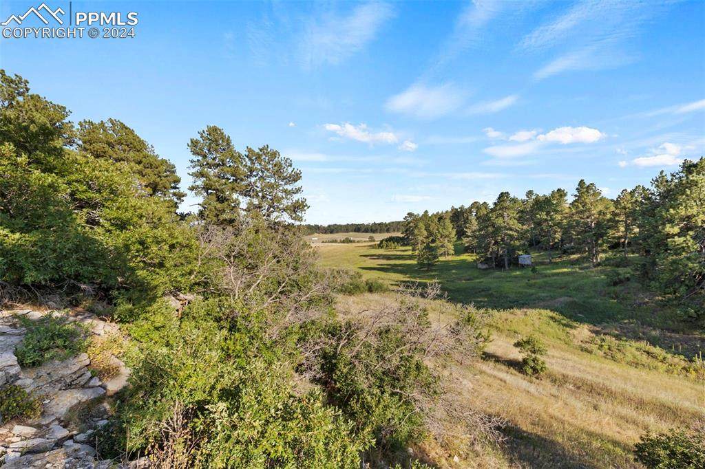 13001 Cherry Creek Road - Photo 1