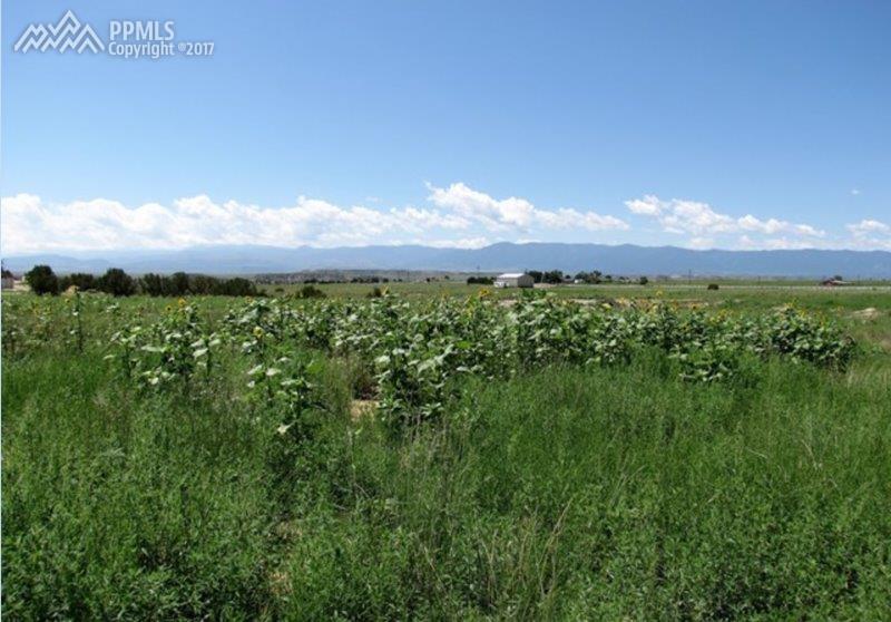 1653 Top Notch Trail - Photo 1