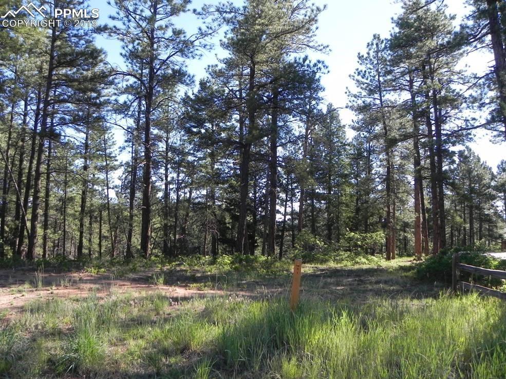 8112 Inca Road - Photo 1