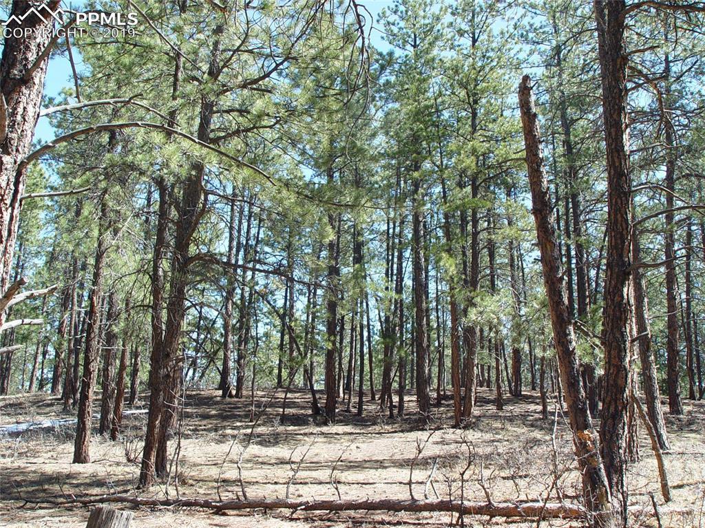 5126 Bannock Way - Photo 1