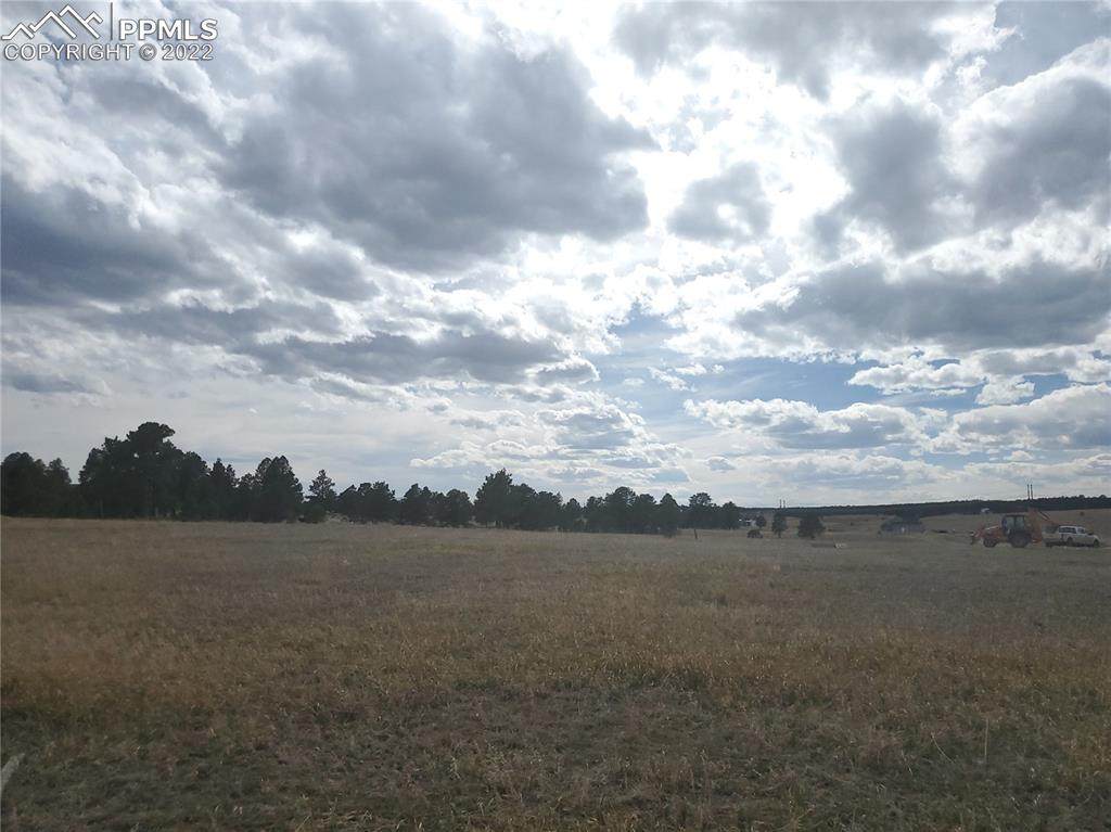 11435 Bison Meadows Court - Photo 1