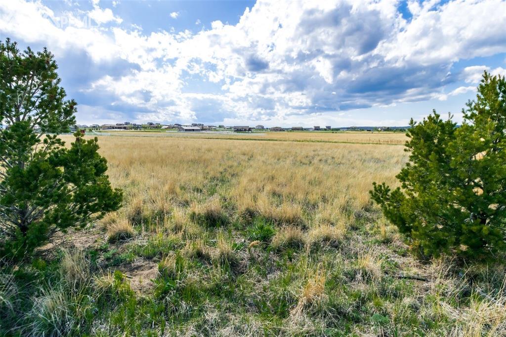11970 Silver Concho Trail - Photo 1