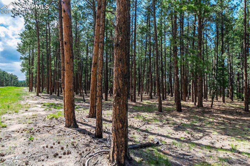19045 Hilltop Pines Path - Photo 1