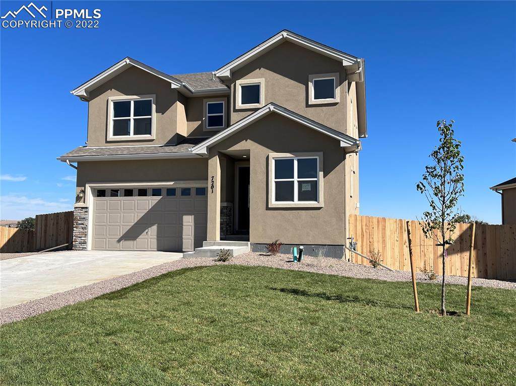 7201 Alpine Daisy Drive - Photo 1