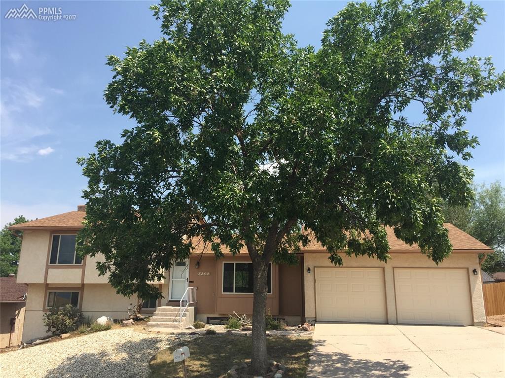 5250 Coneflower Lane - Photo 1
