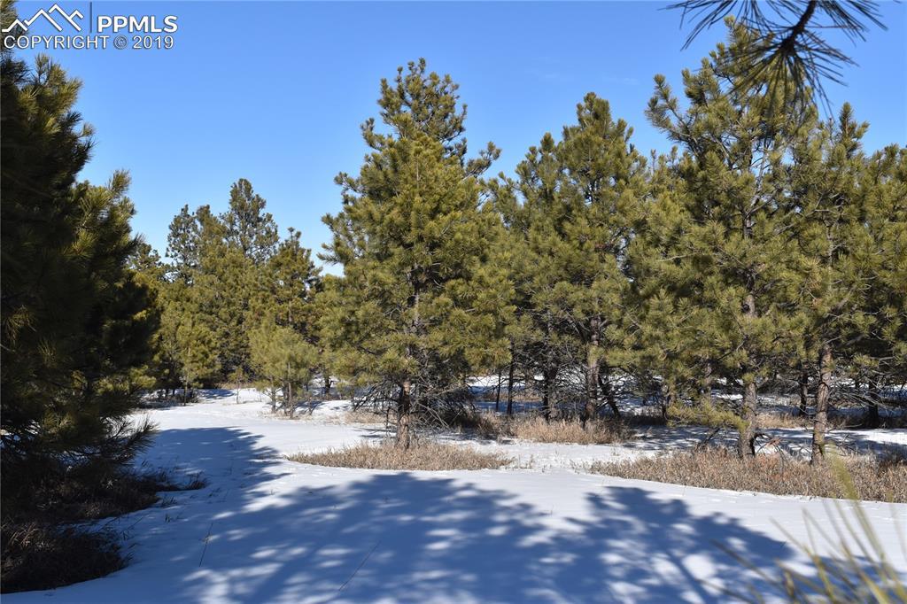 9045 Blue Sage Circle - Photo 1
