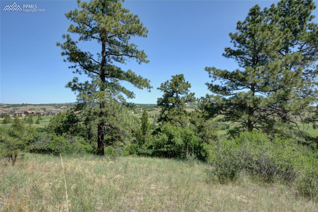1574 Vine Cliff Heights - Photo 1