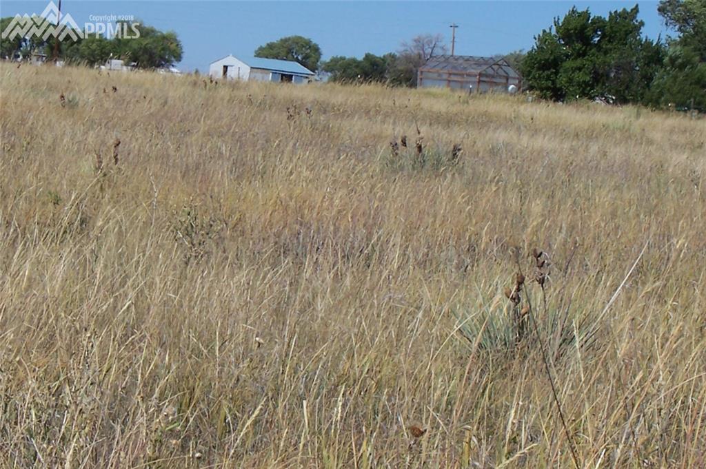 18020 Highway 94 Highway - Photo 1