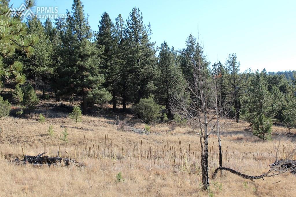 44 Vista Circle - Photo 1