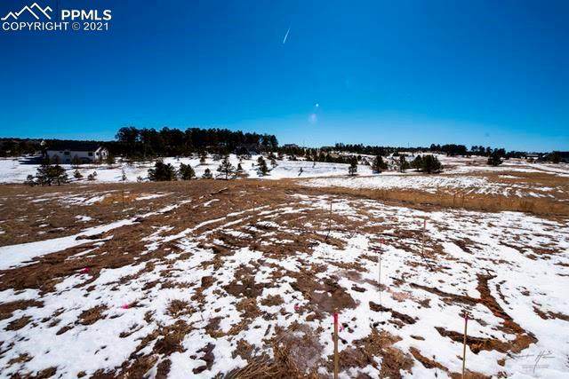 17235 Gwilym Court - Photo 1