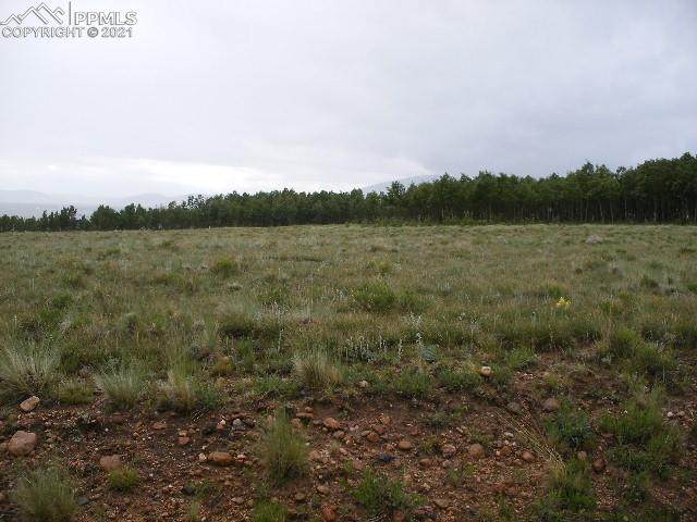 00 Boreas Circle - Photo 1