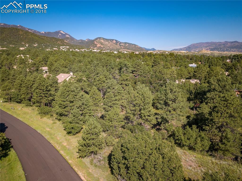1720 Brantfeather Grove - Photo 1