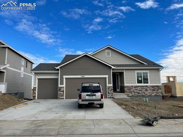 5463 Sunday Gulch Drive - Photo 1