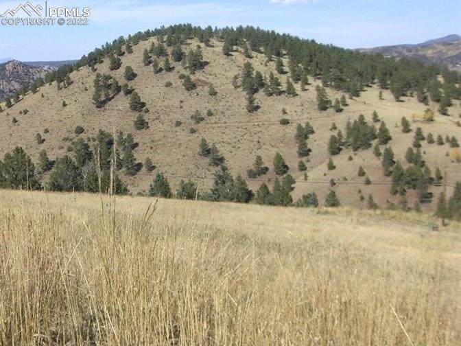 000 County Road 1 - Photo 1