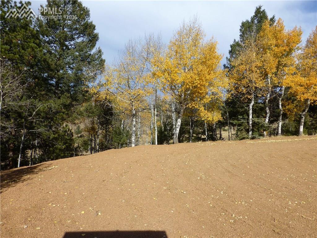 37 Lost Park Circle - Photo 1