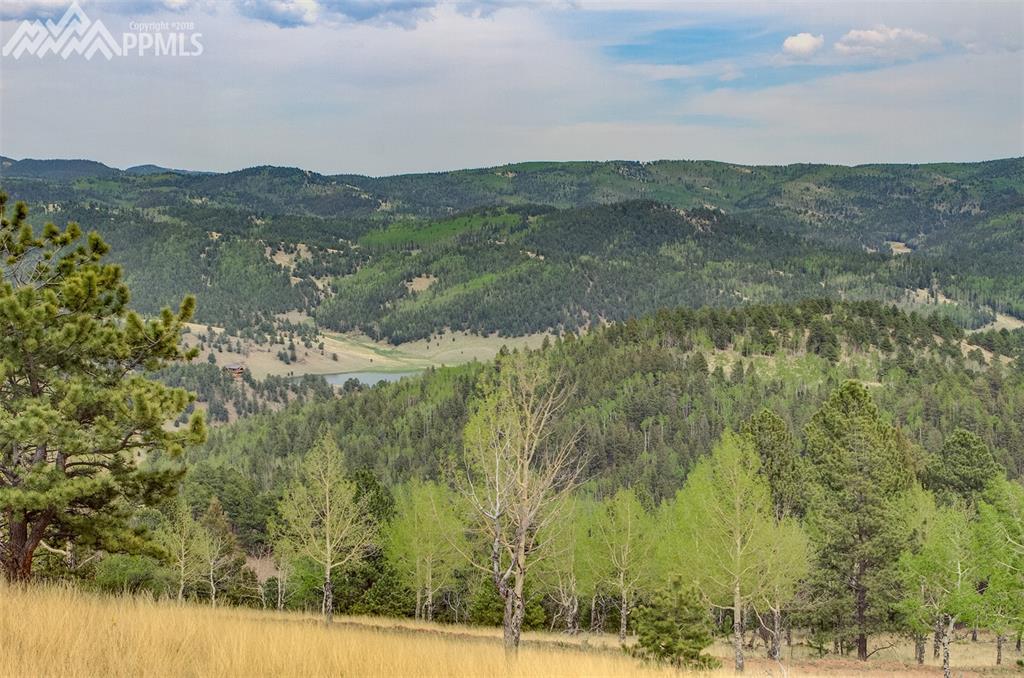 801 Bradley Ranch View - Photo 1