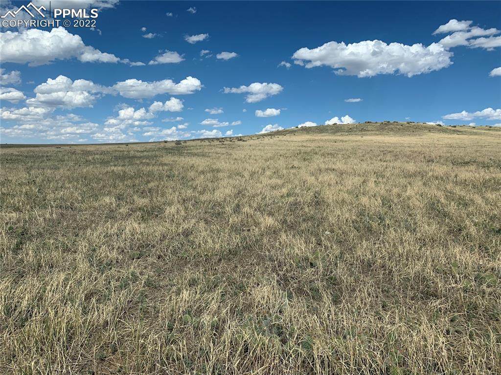 16535 Yoder Road - Photo 1