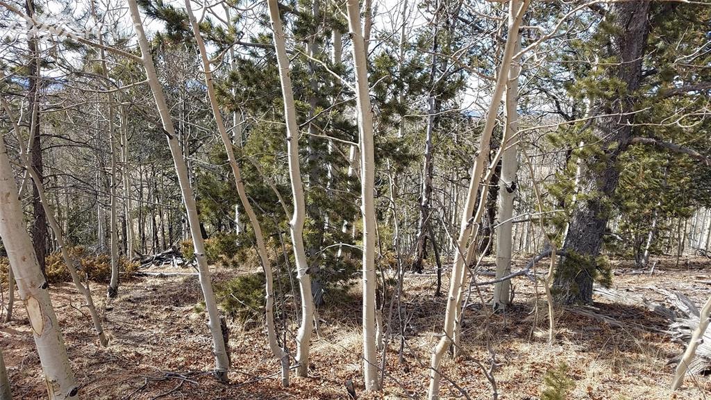 826 Princess Road - Photo 1