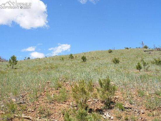 13841 Highway 67 - Photo 1