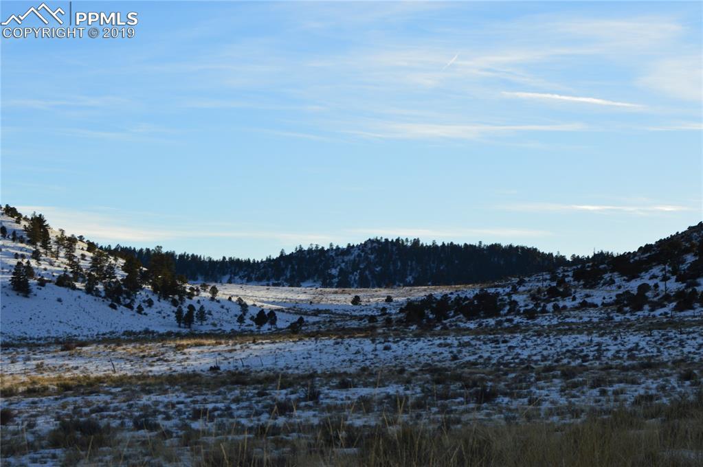1320 Little Horn Drive - Photo 1