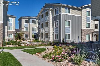 11153 Cypress Tree Point - Photo 1