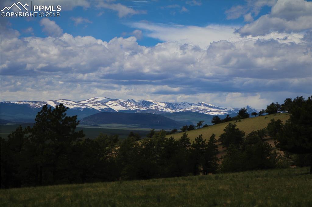 County 335 Road - Photo 1