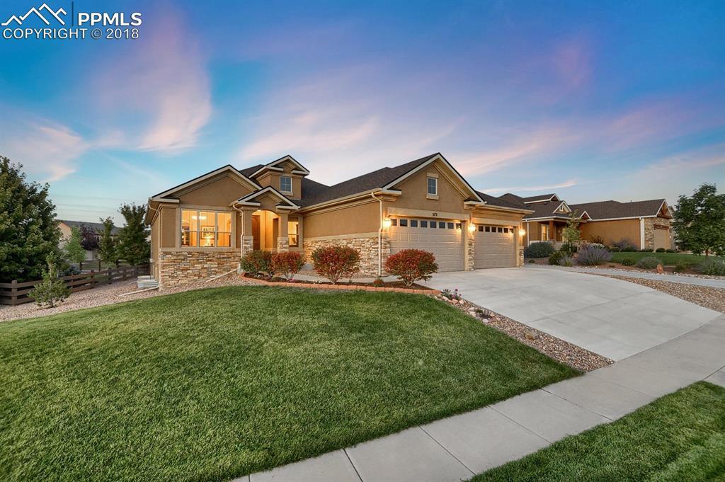 373 Coyote Willow Drive - Photo 1