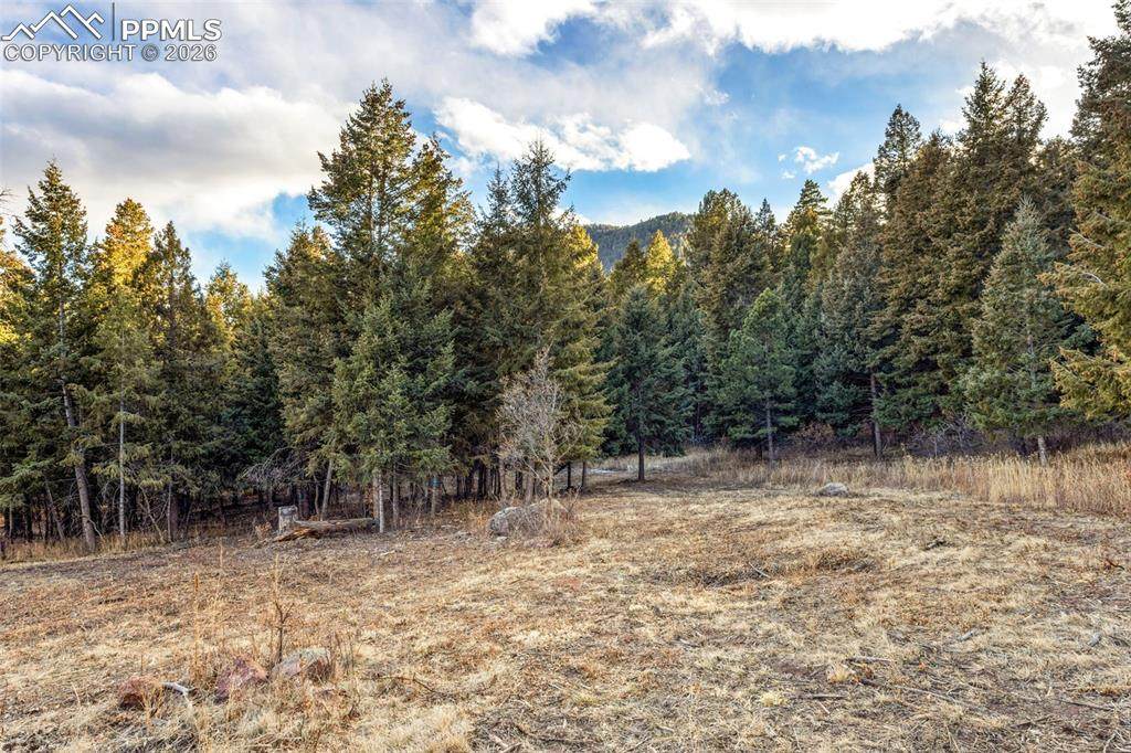  Mountain Ranch Road - Photo 1