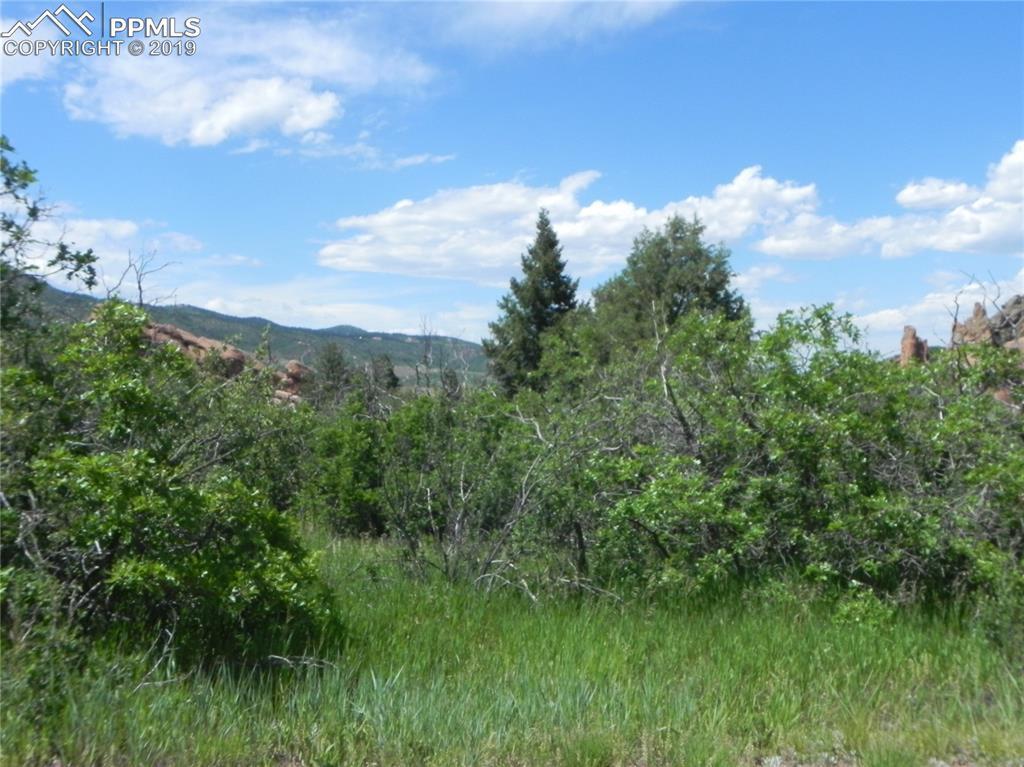 6299 Perry Park Boulevard - Photo 1