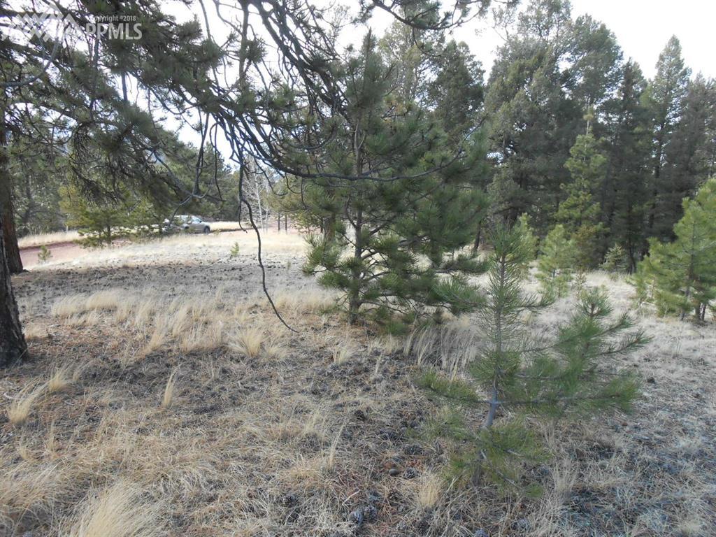 266 Wabash Terrace - Photo 1