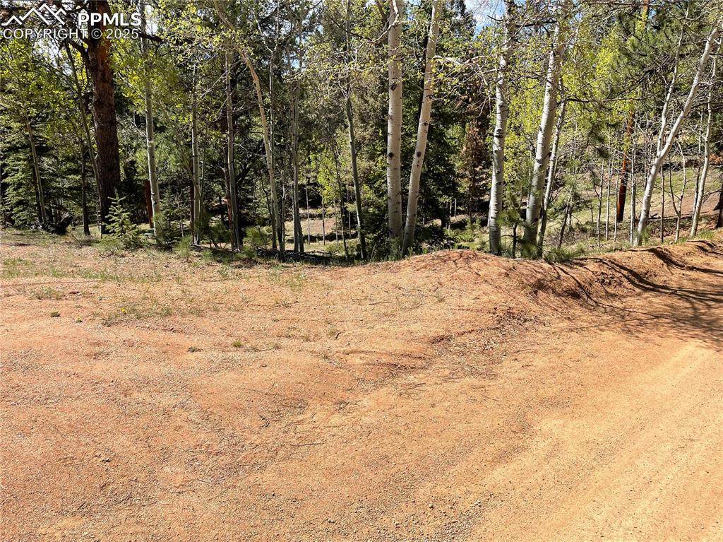 146 Gibson Road - Photo 1