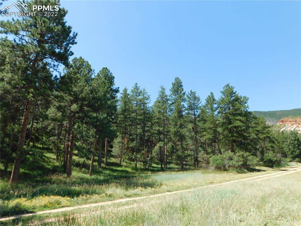 7603 Osage Road - Photo 1